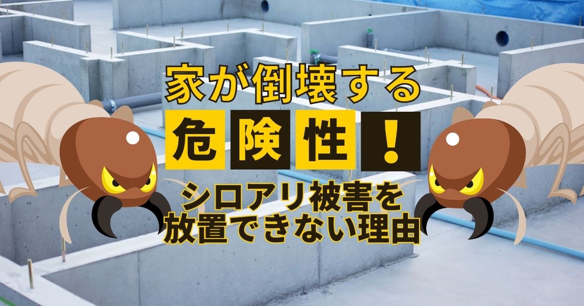 シロアリ駆除は必要ない 放置するリスクや予防のタイミングを解説 害虫駆除110番