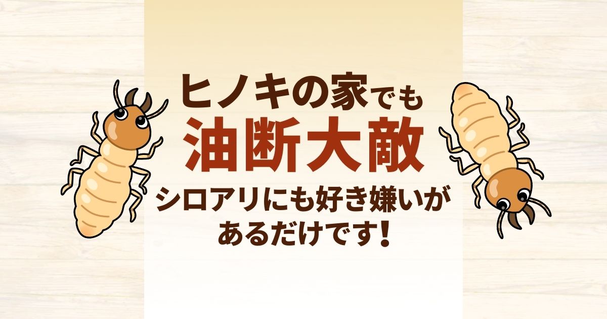 ヒノキもシロアリのエサになる 被害に遭わないための対策をご紹介 害虫駆除110番
