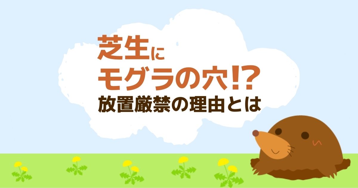 モグラが庭にいるなら早めの対処を！自分でできる対策と穴の放置がNGな