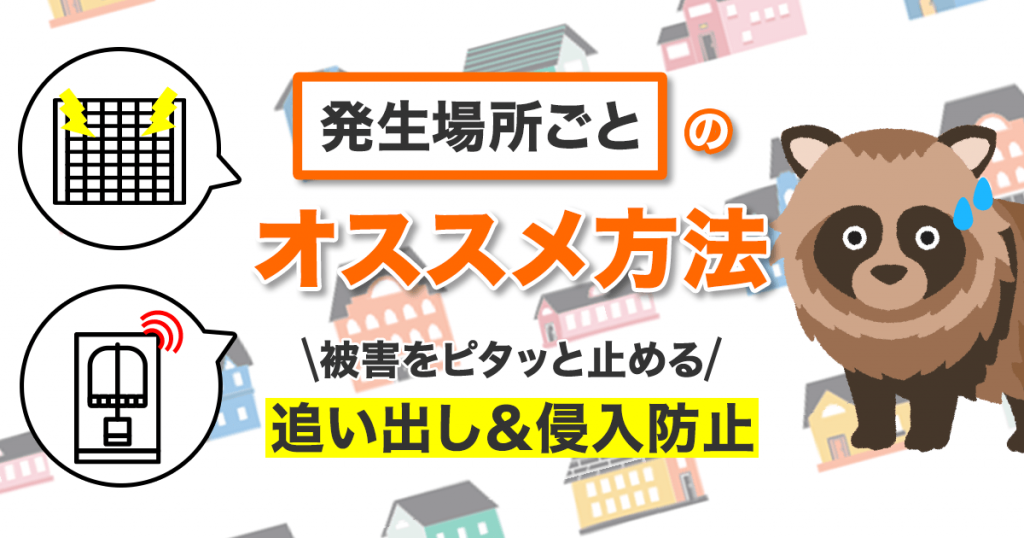 発生場所ごとのタヌキ追い出し＆侵入対策