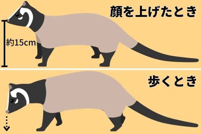 ハクビシン対策には弱点を狙った忌避剤がおすすめ！手軽にできる撃退法