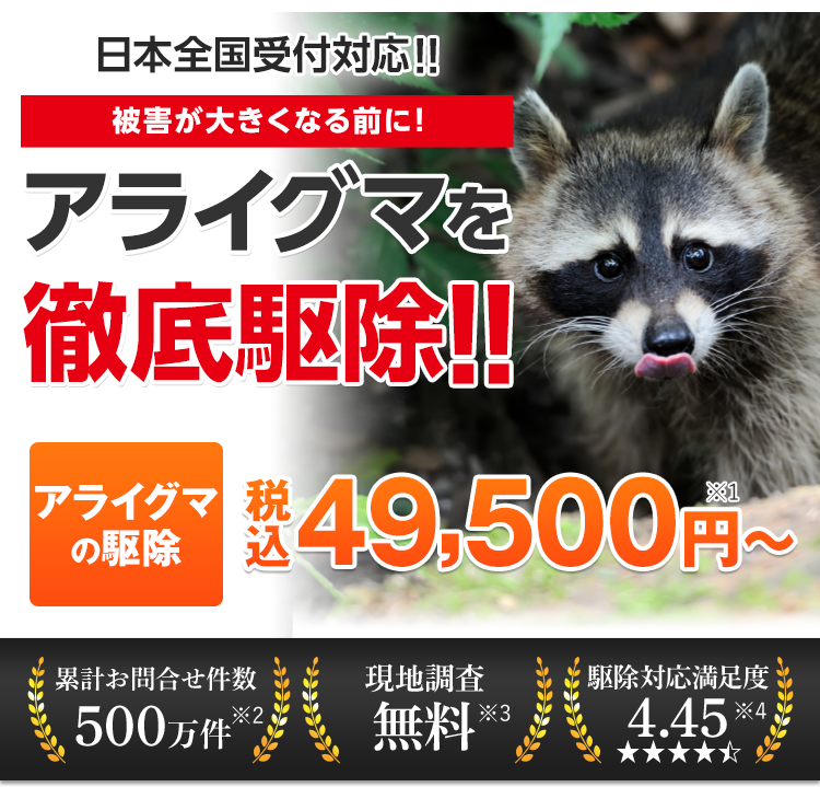 アライグマを徹底駆除