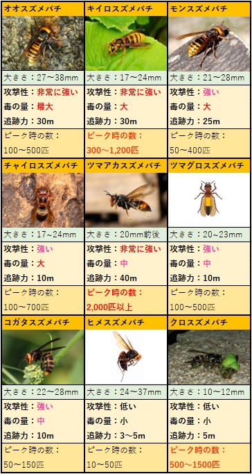 殺人スズメバチの種類を画像でサクッと判断 大きさ 色 巣で見分けて対処する方法 ハチ110番