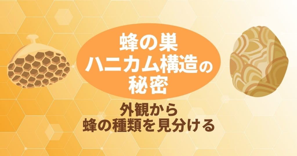 ハニカムチャーム / 蜂の巣とはち * 4個 - 素材/材料