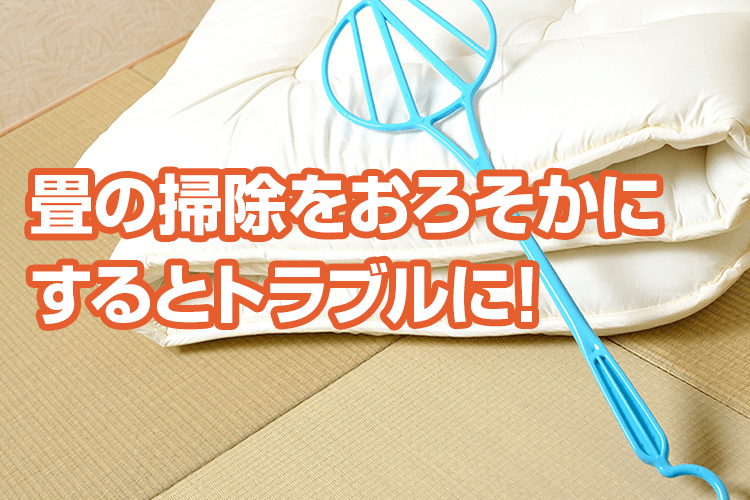 畳の掃除をおろそかにするとトラブルに！