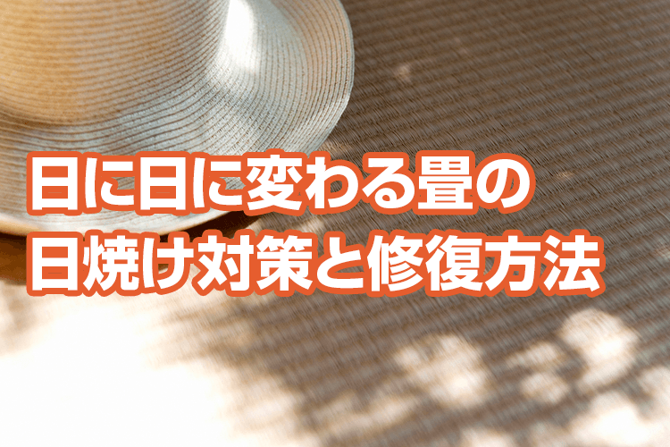 日に日に変わる畳の日焼け対策と修復方法