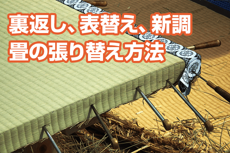 日焼けが取れない場合は交換しよう