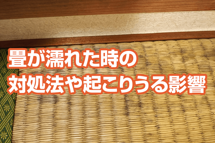 畳が濡れた時の対処法や起こりうる影響