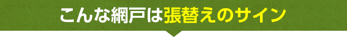 こんな網戸は張替えのサイン