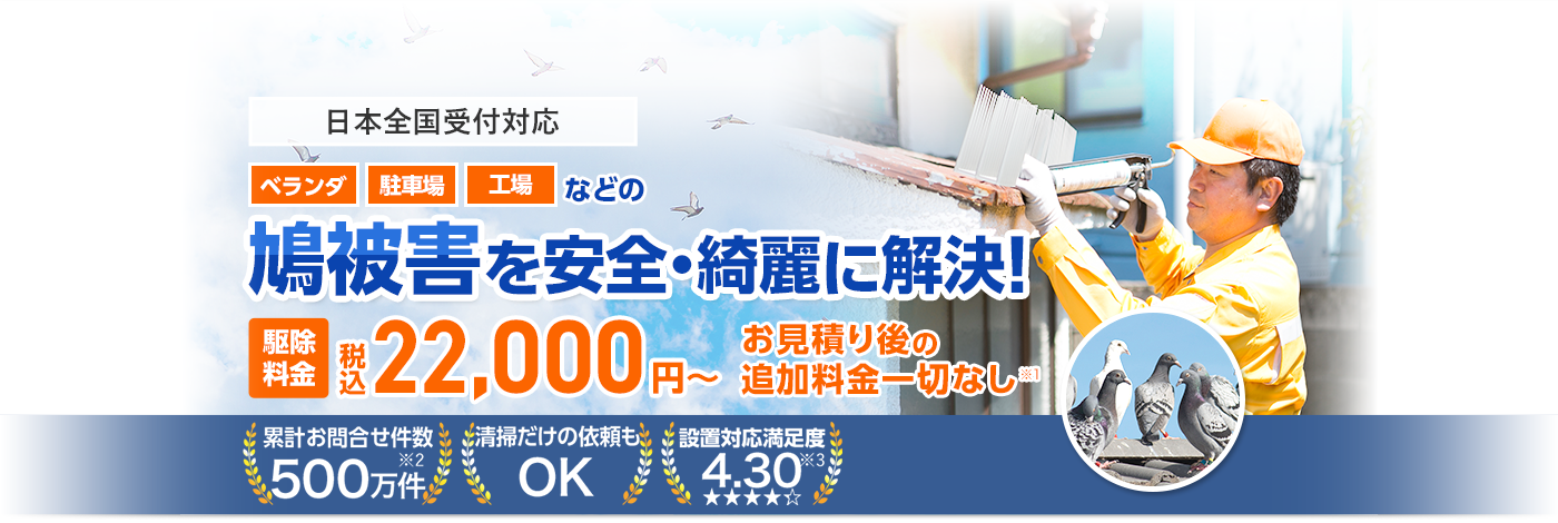 鳩被害を安全・きれいに解決！