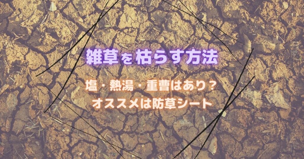 雑草を枯らす方法　塩・熱湯・重曹はあり？オススメは防草シート