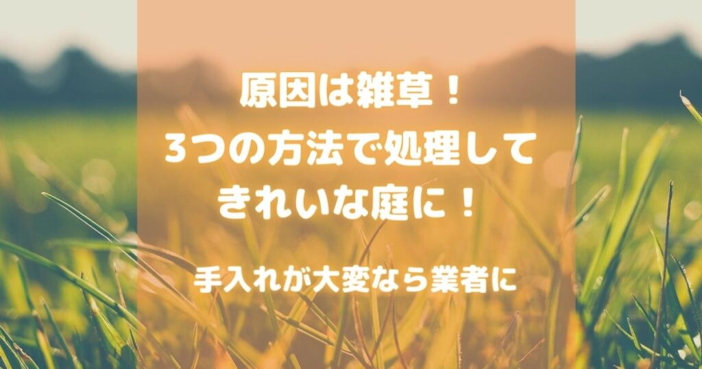 原因は雑草！３つの方法で処理してきれいな庭に！手入れが大変なら業者に