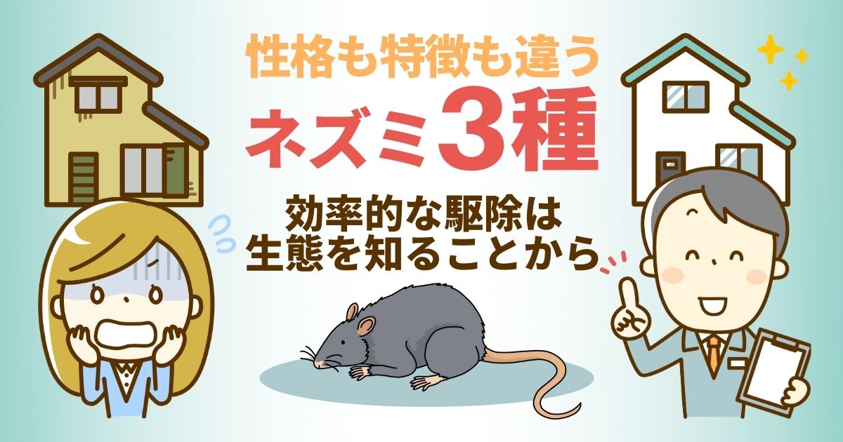 家に出るネズミの種類の見分け方と駆除効果をあげる種類ごとの最適な方法 ねずみ110番