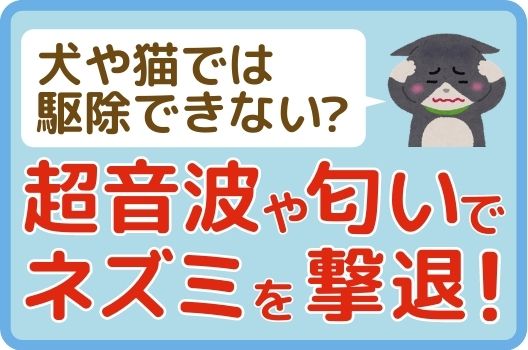 注意 ネズミ駆除に犬を使うと感染症に 超音波も悪影響 ねずみ110番