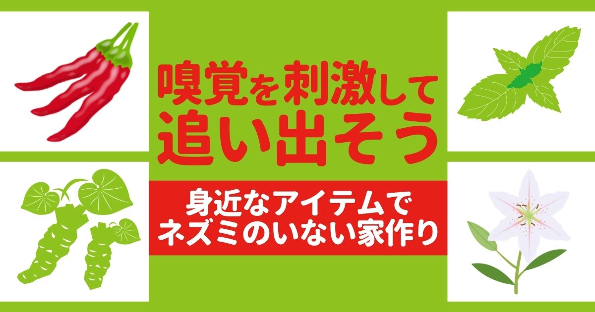 ねずみは蚊取り線香で簡単に追い出せる 嫌がるにおいの種類と退治のコツ ねずみ110番