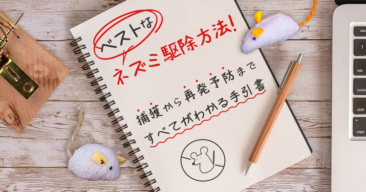 ネズミ駆除は自分でできる！手軽な市販品の効果とうまく退治する方法｜ねずみ110番