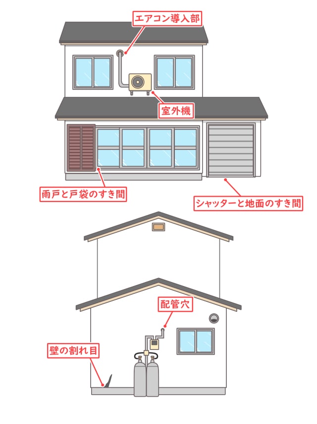 家に出るネズミの種類の見分け方と駆除効果をあげる種類ごとの最適な方法 ねずみ110番