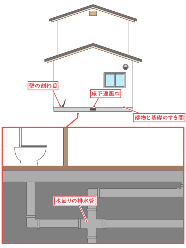 家に出るネズミの種類の見分け方と駆除効果をあげる種類ごとの最適な方法 ねずみ110番