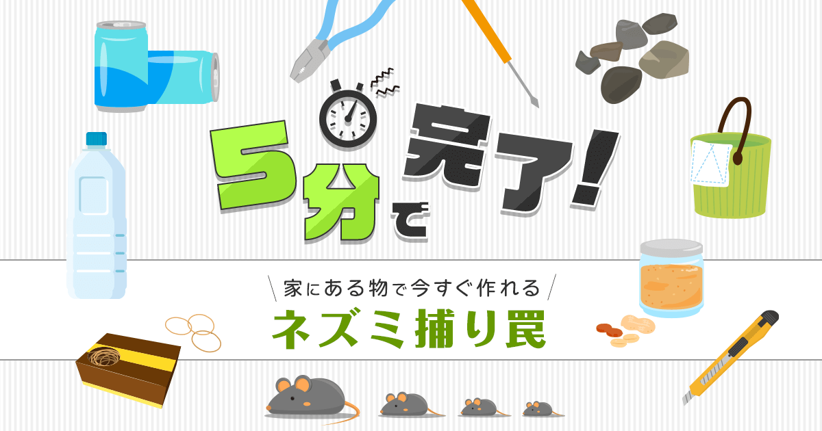 ネズミ捕りは自作した方が効果的 作り方 よく捕れる理由 ねずみ110番