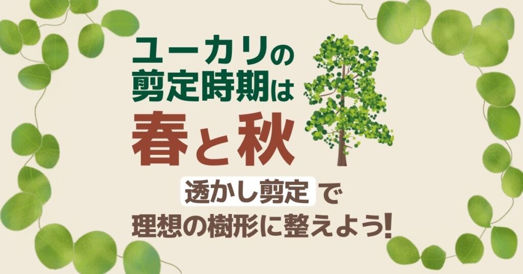 ユーカリの剪定時期は春と秋　透かし剪定で理想の樹形に整えよう