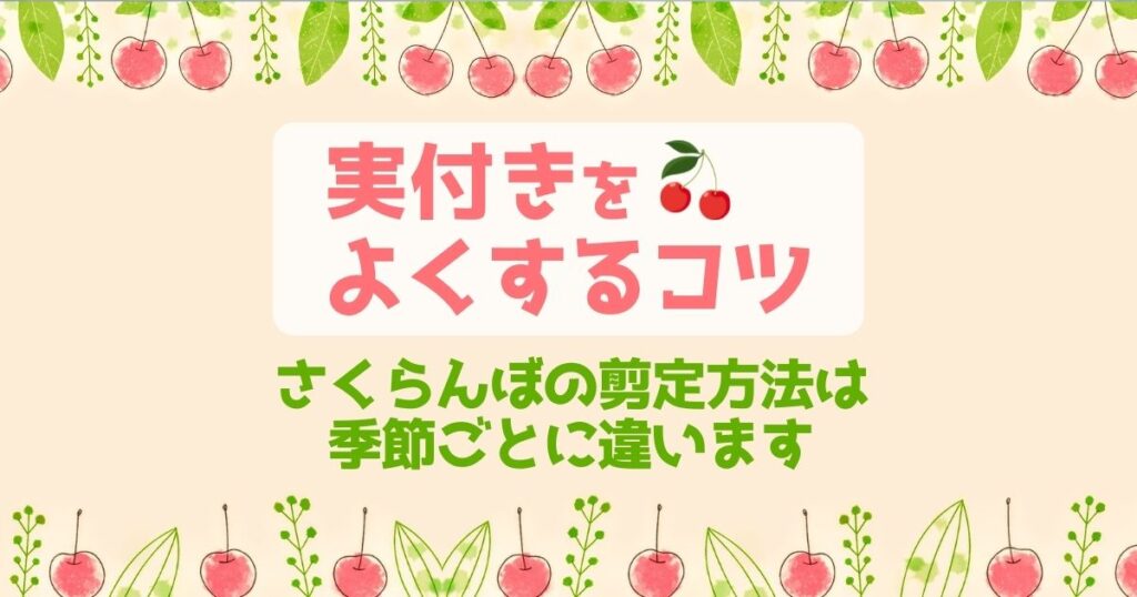 さくらんぼの剪定　実付きをよくするコツ