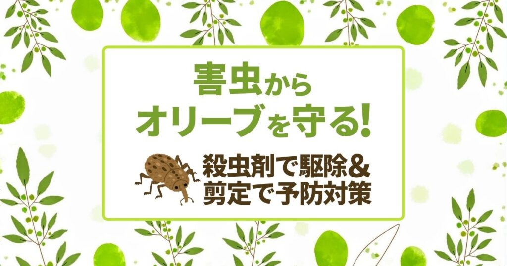 害虫　オリーブ　守る　殺虫剤で駆除　剪定で予防対策