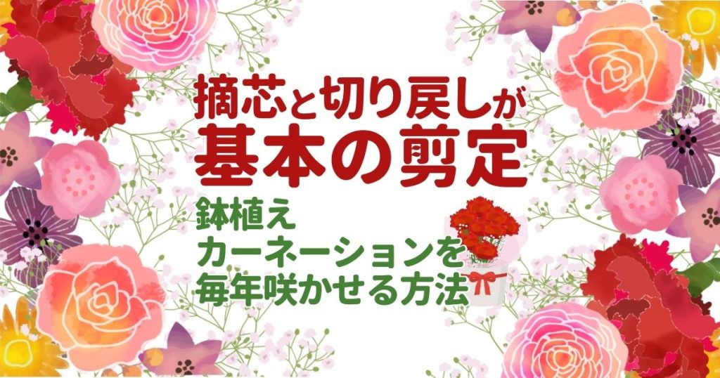 摘芯と切り戻しが基本の剪定