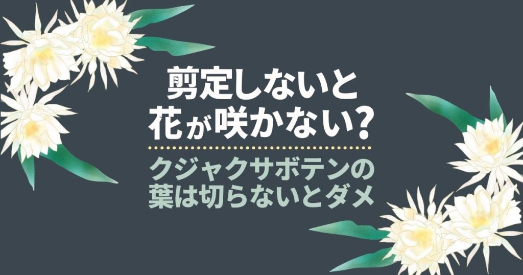 剪定しないと花が咲かない？