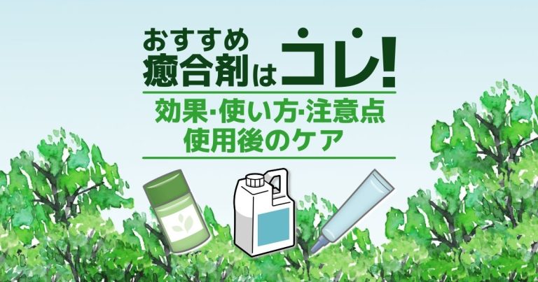 庭木の剪定後は切り口を癒合剤で保護しよう！植物を守る癒合剤の使い方 | 剪定110番