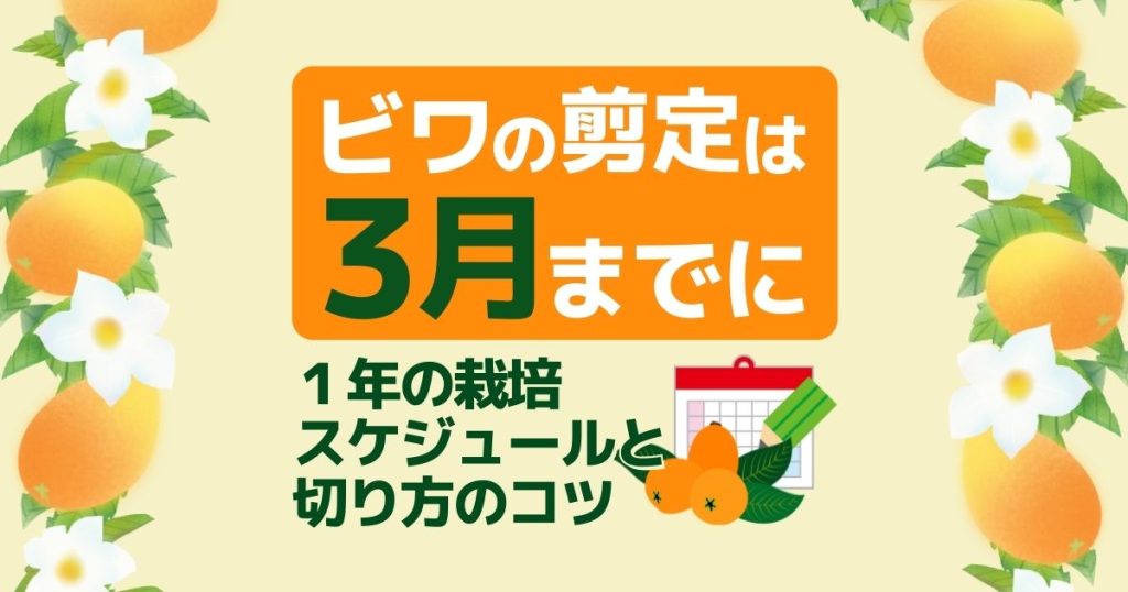 ビワの剪定は３月までに 一年の栽培スケジュールと切り方のコツ