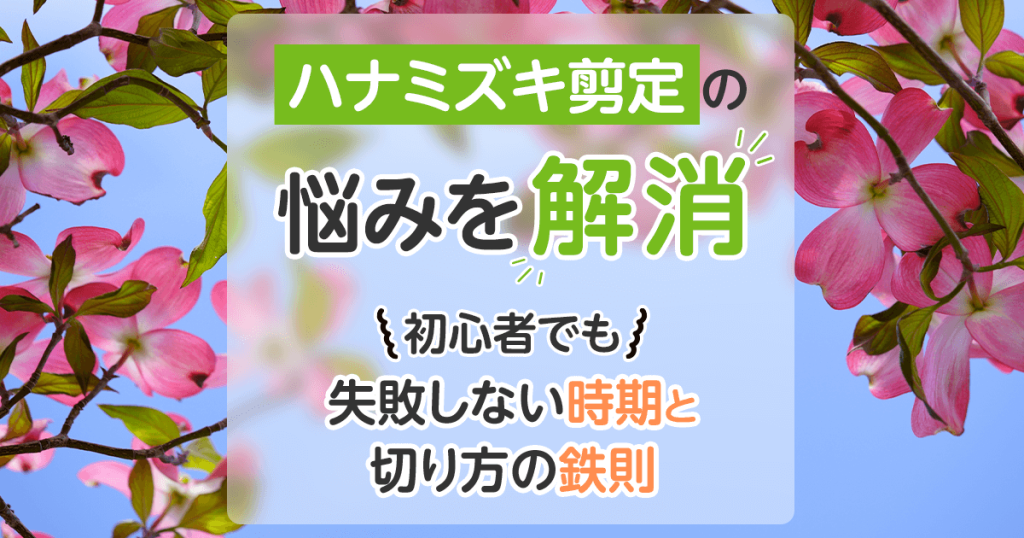 ハナミズキ剪定の悩みを解消