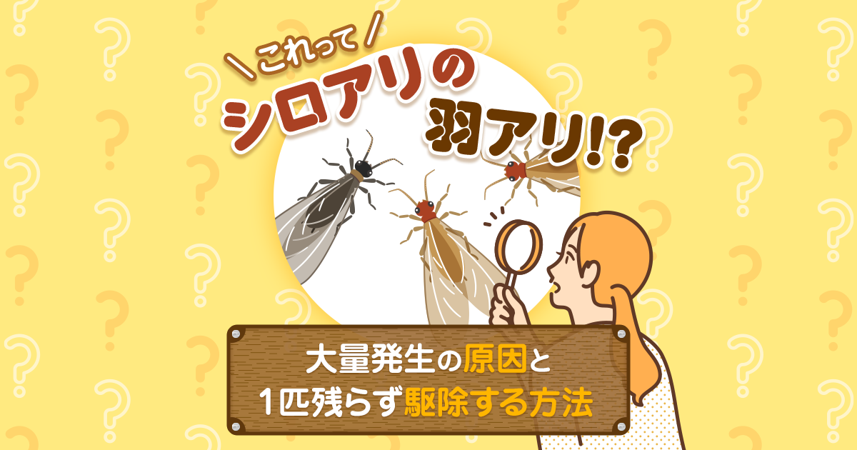 大量発生した羽アリの駆除はこれで完ぺき！発生原因と1匹も残さない