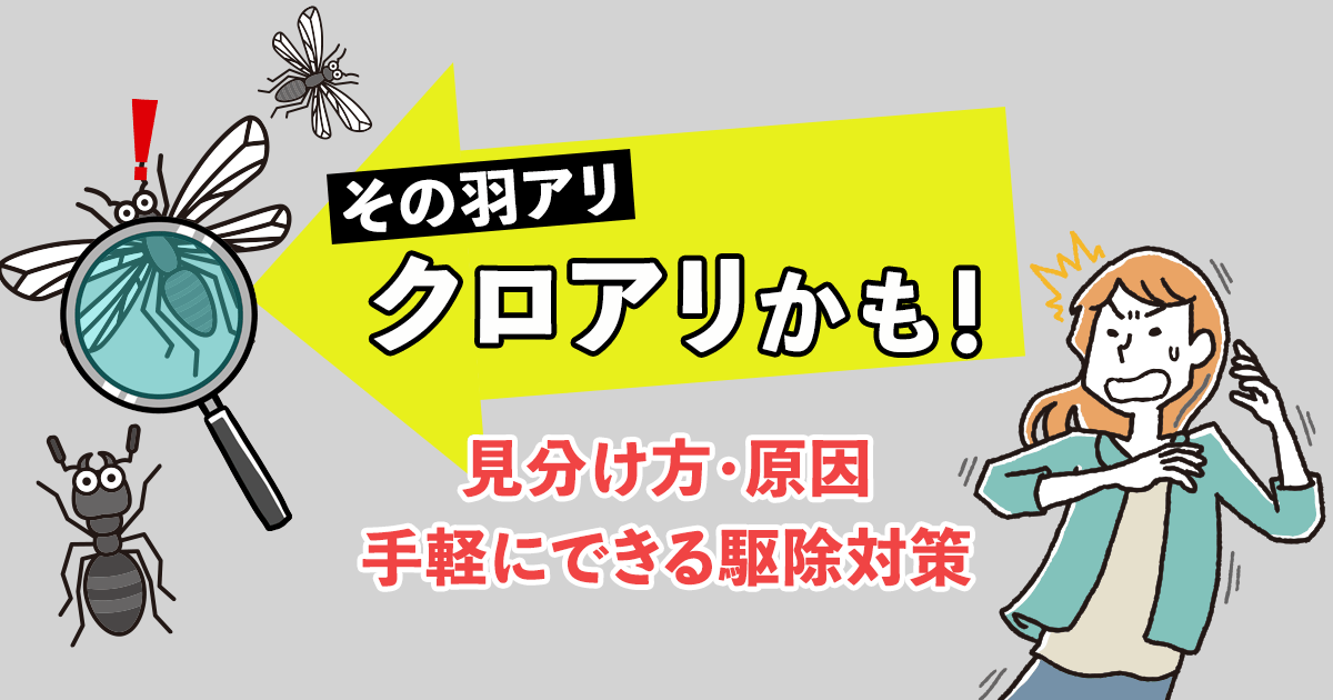 黒い羽アリの正体が一瞬でわかる！見分け方と一網打尽の対策方法