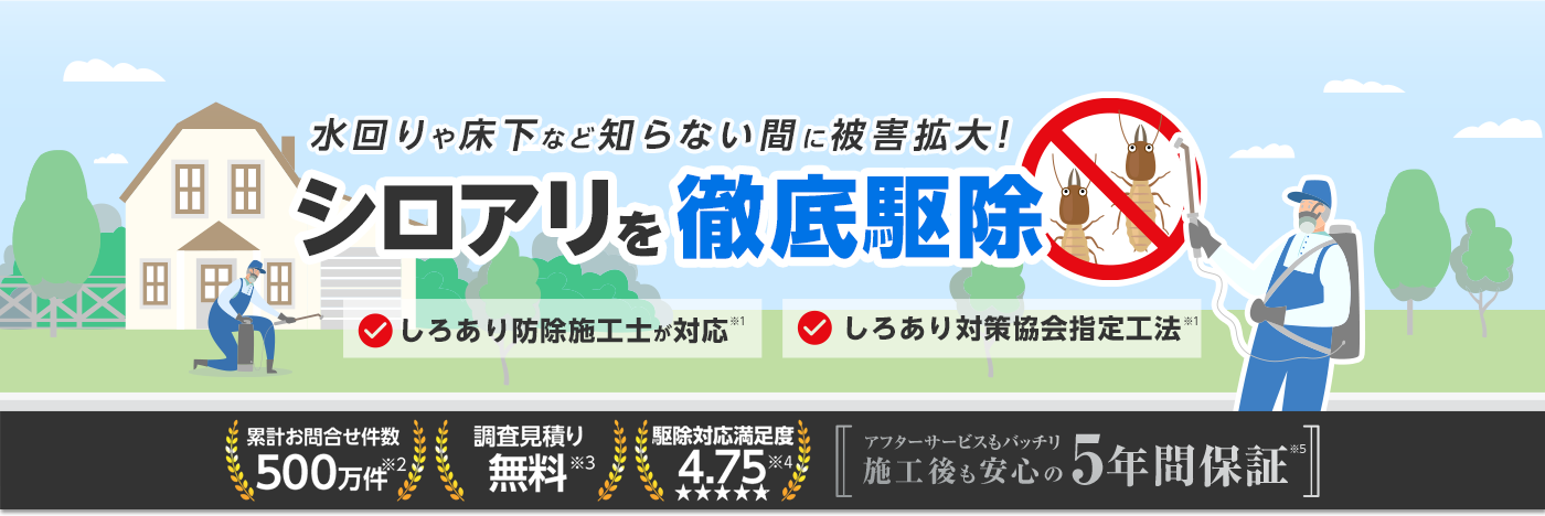 シロアリ110番｜シロアリ駆除、シロアリ対策、シロアリ被害、シロアリ予防、シロアリ調査や羽アリの大量発生に対応！